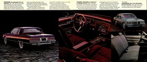 1981 Pontiac Full Line (Cdn)-16-17.jpg